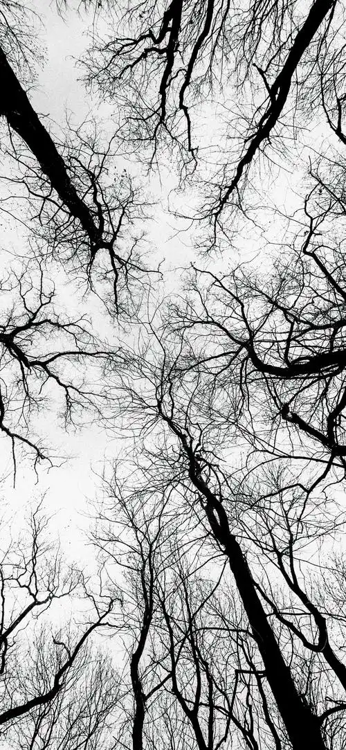 黑白调手机壁纸 稀缺男生插画壁纸