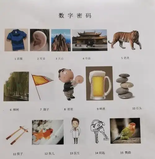 数字密码记忆:丰富孩子图像源,提高编码与图像转化能力.