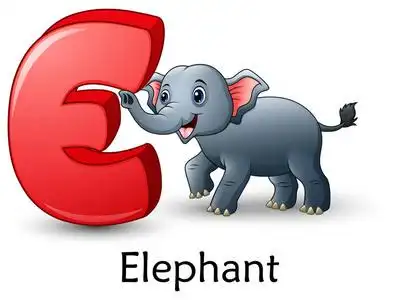 字母 e 的矢量插图为大象卡通字母表照片