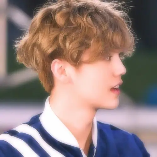 自修〕鹿晗爱豆头像