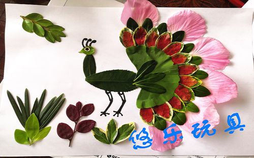 秋天树叶粘贴画 树叶贴画幼儿园环保手工创意粘贴作业diy天然新鲜树叶