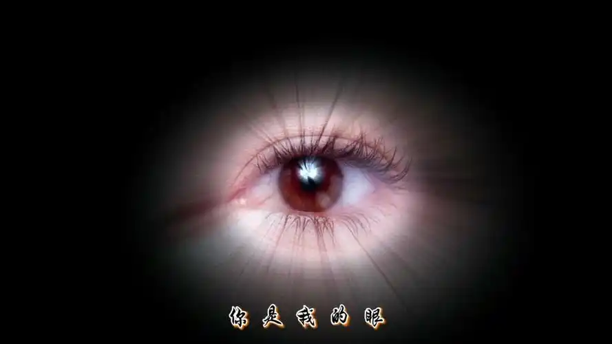 音乐视频《你是我的眼》,请多多关爱失去光明的朋友