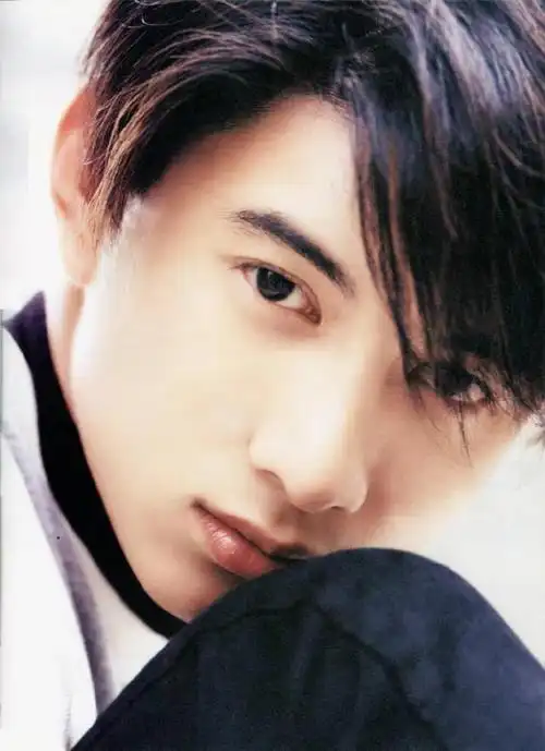 吴奇隆年轻的图片(吴奇隆最经典的一张照片)(20)