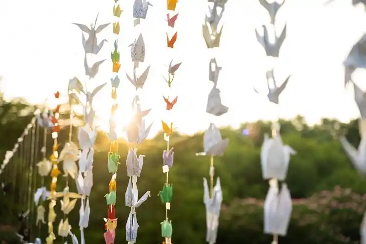 新甲子毕业季:赏千纸鹤阵 品育人情怀(3)