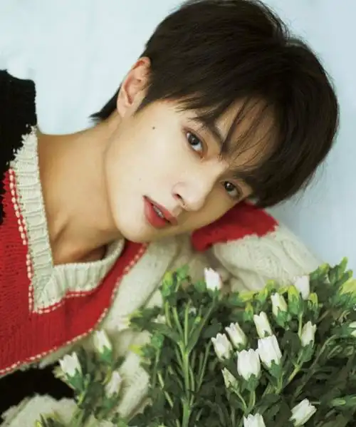 95年生的神仙男爱豆看到他们你能不拍手叫绝