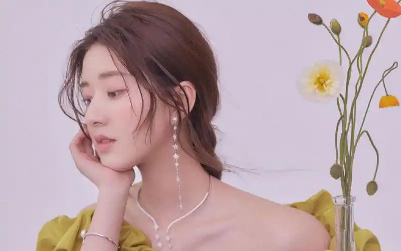 赵露思优雅迷人写真桌面壁纸