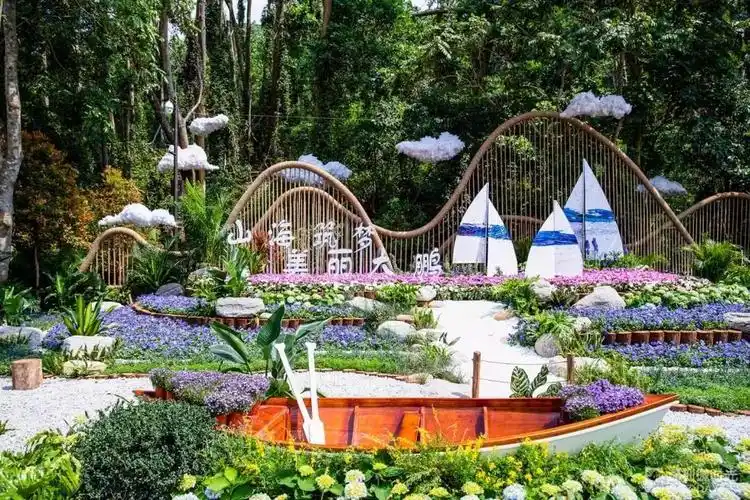 今天,深圳这个地方有国际花展,我有个大胆的想法