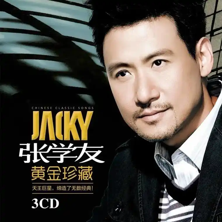 张学友唱了偷心 张学友个人专辑cd碟片  黑胶cd 无损音 - 抖音