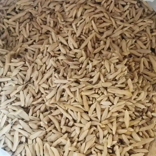 湖北麦冬山麦冬山东麦冬产地直供农产品药食同源散装麦冬