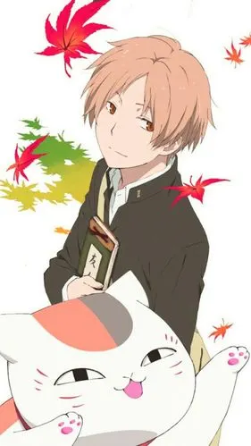 夏目友人帐 官图 壁纸温柔的夏目( 〉` )