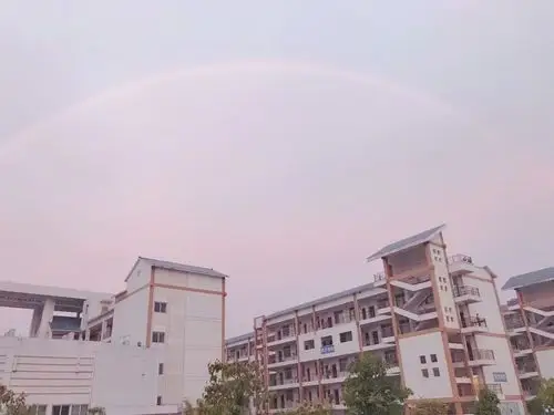 春色满箐园 学子平安归——都安瑶族自治县瑶族中学高三初三年级开学