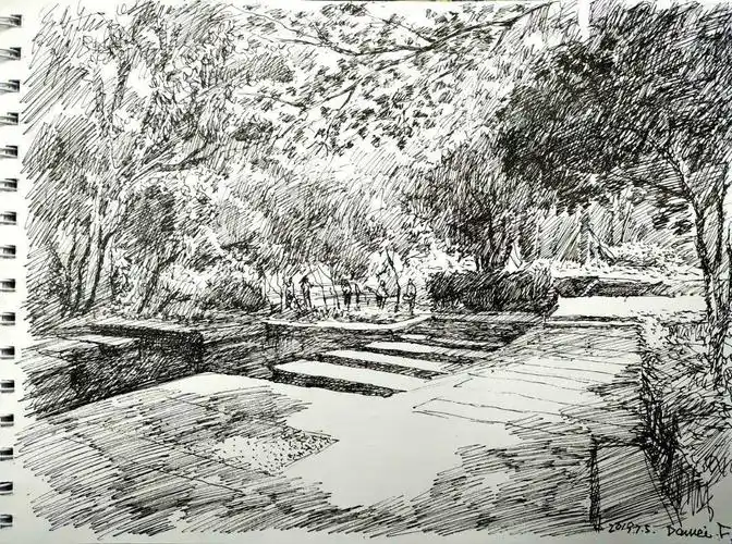 《逆光下的水槽树丛》