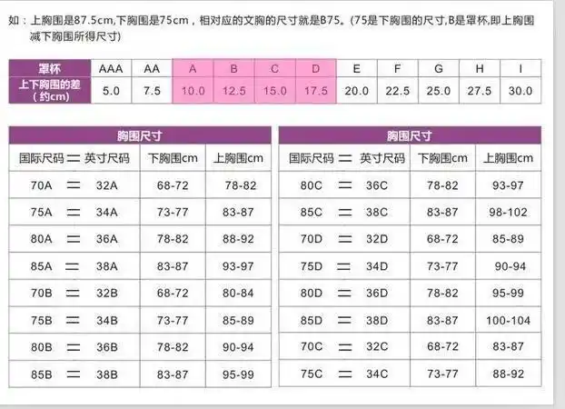 文胸abcd罩杯的区别