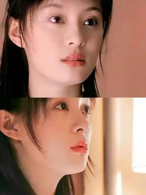 《风雨西关》和《甜蜜蜜》,以及《幸福像花儿一样》都是有此特点.