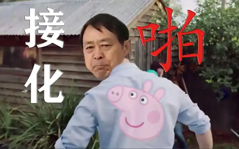 马保国最强接化发