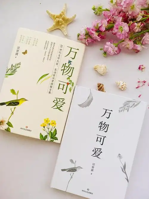 一花一草一木世间万物可爱