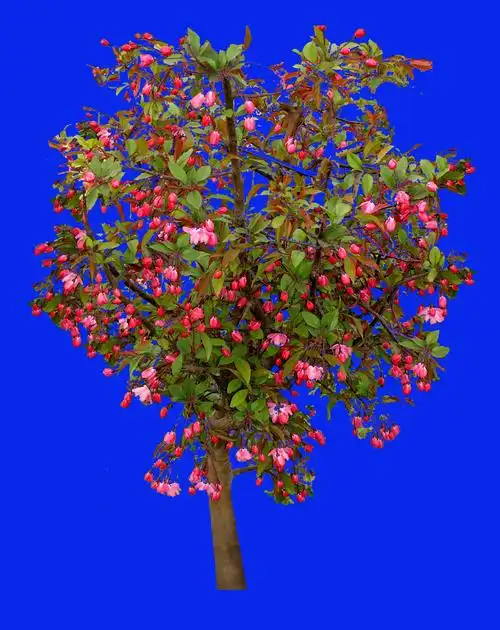 [ps素材]资料,有需要的朋友来拿吧!