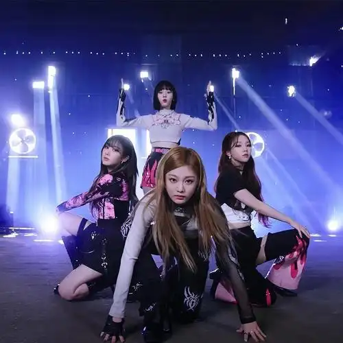 easpa韩国成人团体爵士舞服粉色火纹街舞服