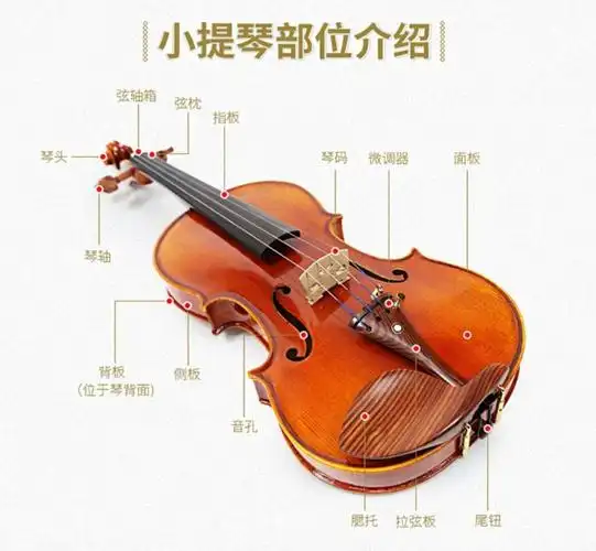 日本suzuki铃木进口儿童演奏成人小提琴初学者实木考试级14进口小提琴