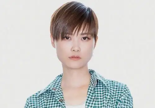 秋季女生离子烫短发效果图头发多女生梳短直发百变才够味儿