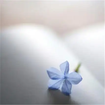 2021最简单的头像干净高清