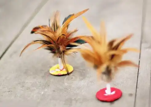 踢毽子的故事……文/一片冰心