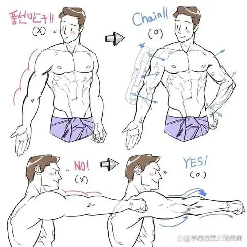 绘画素材lsp投喂时间画猛男必备男性肌肉人体素材