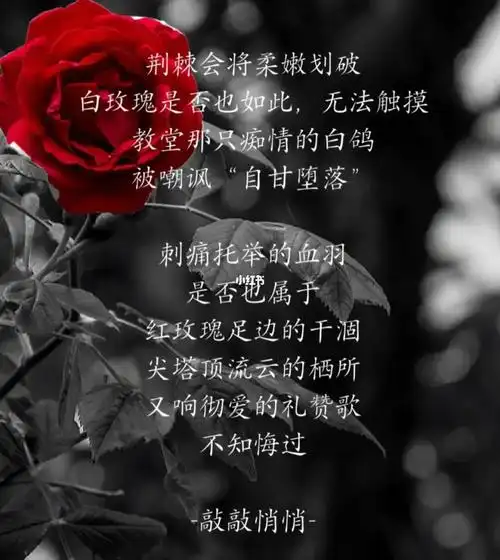 一见如故,再见陌路!_素材_素材_文字素材