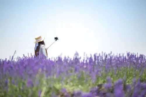 白裙穿身上或是白纱搭头上,薰衣草花海里拍正脸,拍侧脸,拍背影都很