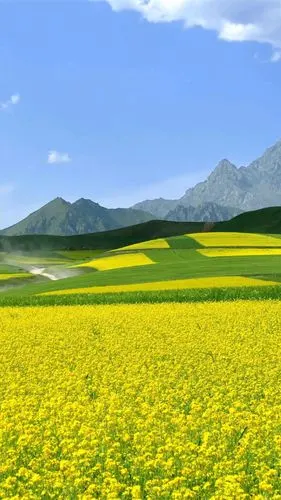 风景- 堆糖,美图壁纸兴趣社区