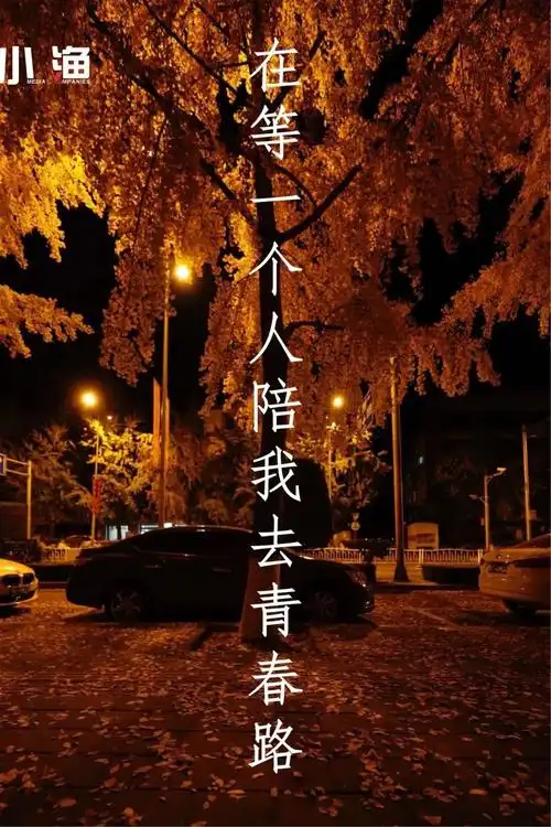 在等一个人陪我去青春路