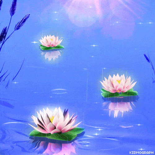 500_500gif 动态图 动图