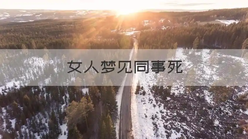 女人梦见同事死