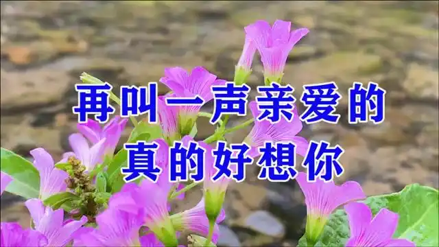 一首情歌《再叫一声亲爱的真的好想你》歌声甜美醉人,好听,真好听!