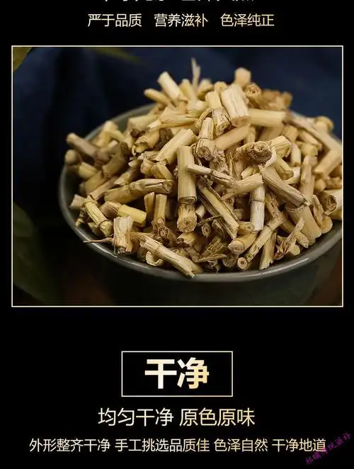 新鲜白茅根野生中药茅草根泡水白毛根毛草根可甜草根罐装 白茅根1罐