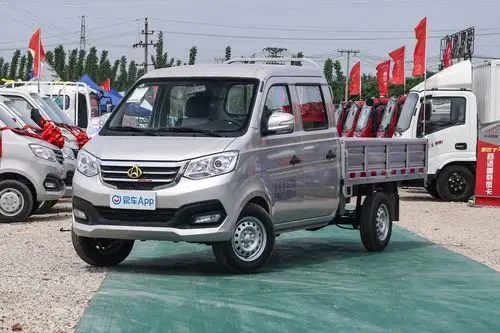 2021款新豹t3柳机12l91马力3080轴距双排载货汽车国Ⅵ