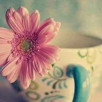 高雅书和花朵头像_微信头像图片大全