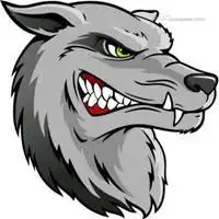 微信头像凶猛动物图片【点击鼠标右键下载】