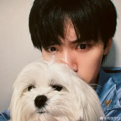 周翊然狗狗自拍