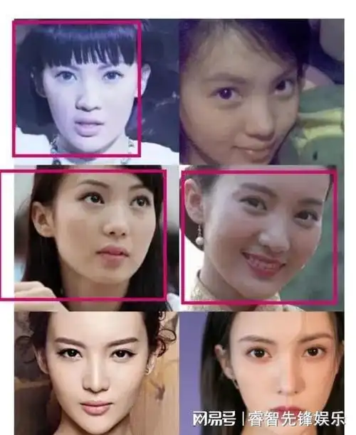 鲜肉收割机金晨情史丰富看金晨整容上位手段网友直呼套路深