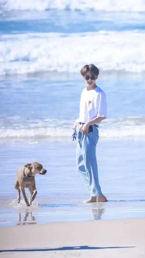 奇妙的食光花絮图朱正廷justin黄明昊小鬼王琳凯澳洲之行花絮图