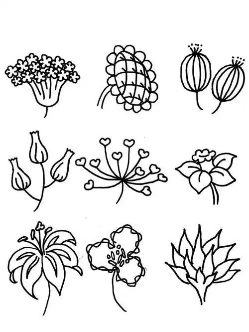 花朵植物简笔画素材