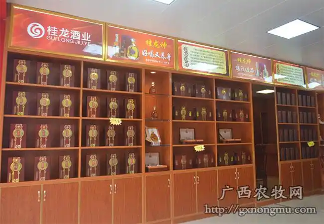 桂龙酒业:打造中国长寿之乡新名片 引领养生露酒新时代