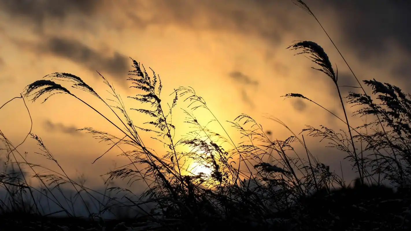 想要更多高清精美壁纸,关注美桌网,美桌网会为您持续搜集网络精彩图片