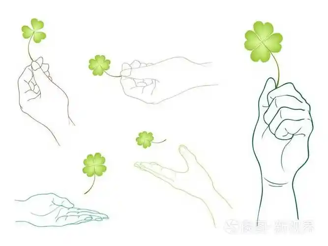 白色背景上的手四叶草