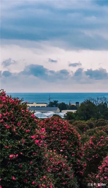 干净好看的唯美皮肤图片_小清新手机壁纸意境图片