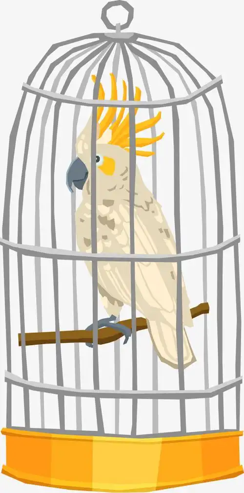 鸟笼鸟笼里的鹦鹉手绘图