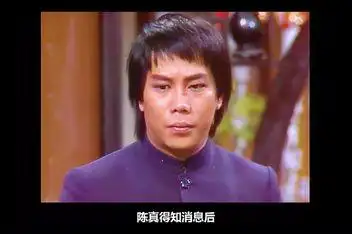 陈真电影_百度视频搜索