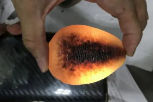 男子拎塑料袋藏152件疑似犀牛角制品,入境深圳当场被查