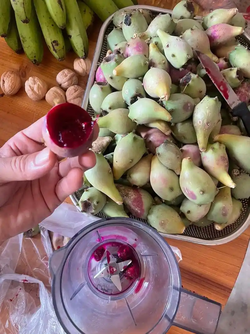 仙人掌果煎饼果子无添加无色素纯手工煎饼